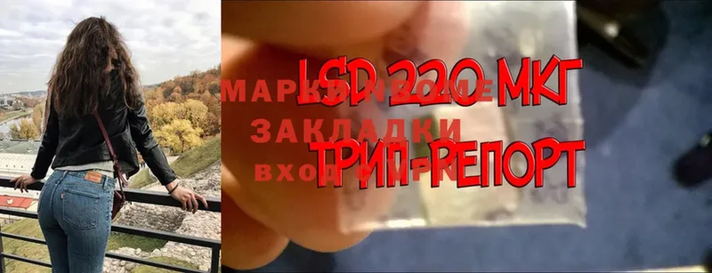 Марки NBOMe 1,5мг  Выборг 